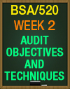 BSA/520 Week 2 Audit Objectives and Techniques